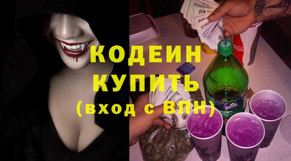 шишки Аркадак