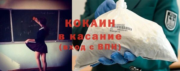 шишки Аркадак