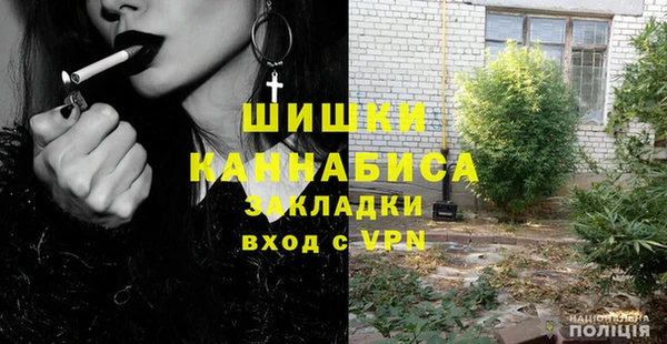 шишки Аркадак