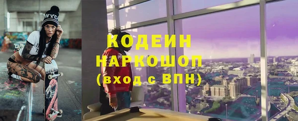 шишки Аркадак