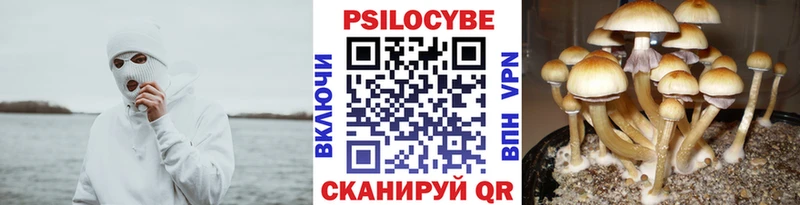 Галлюциногенные грибы мицелий  наркошоп  Снежногорск 